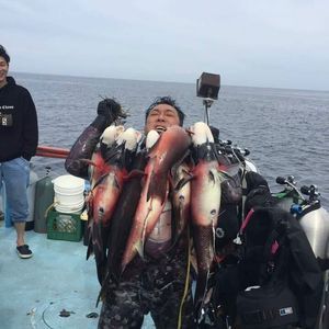 Meet your Posher, Joonsuh